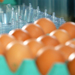 Upsetting Technologies - advanced egg production technologies